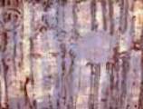 Im Wald, Aquarell auf Leinwand 130x170cm 2008
  <br/>1300,- Euro